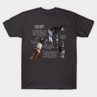 Animal Facts - Okapi T-Shirt